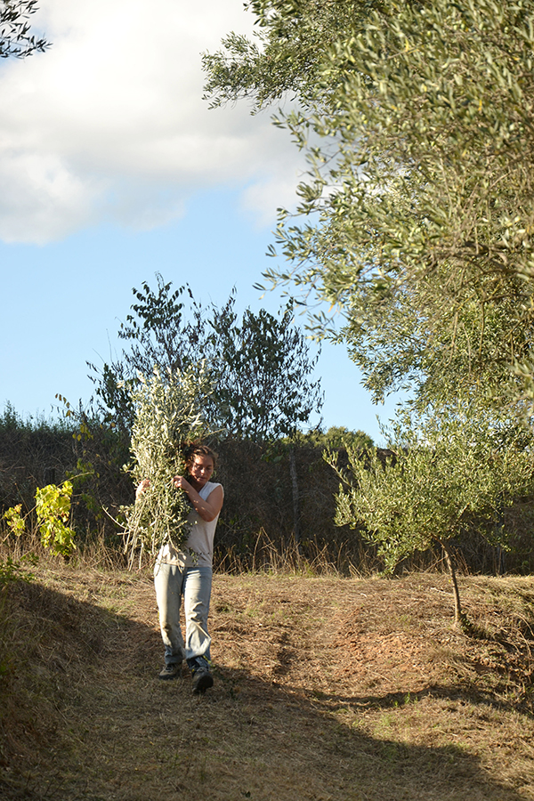 Hilarium_2026_proces_cornet_01