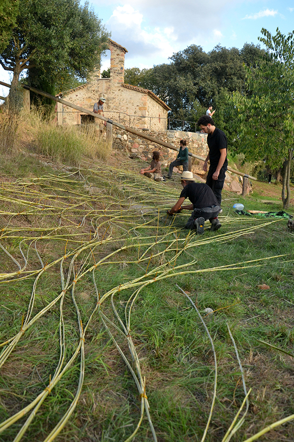 Hilarium_2026_proces_roger_03