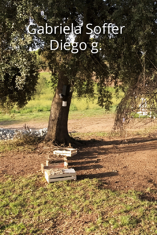 Hilarium_web_artista_2026_home_03