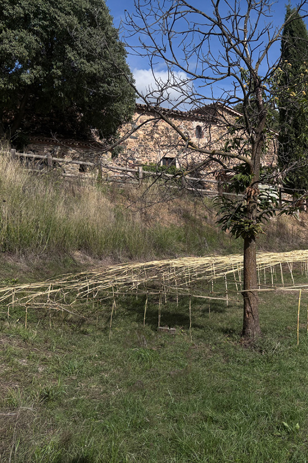 Hilarium_web_artista_2026_home_17