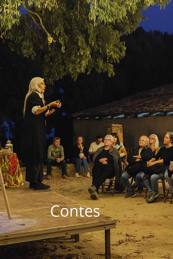 Hilarium_web_artista_2026_home_41