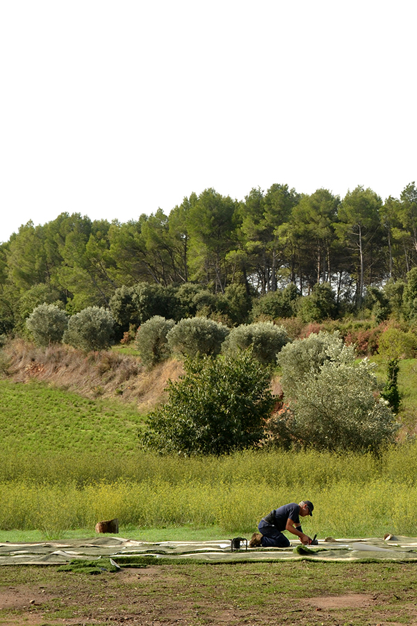 Hilarium_web_partida_07a
