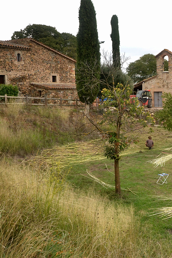 Hilarium_web_partida_11a
