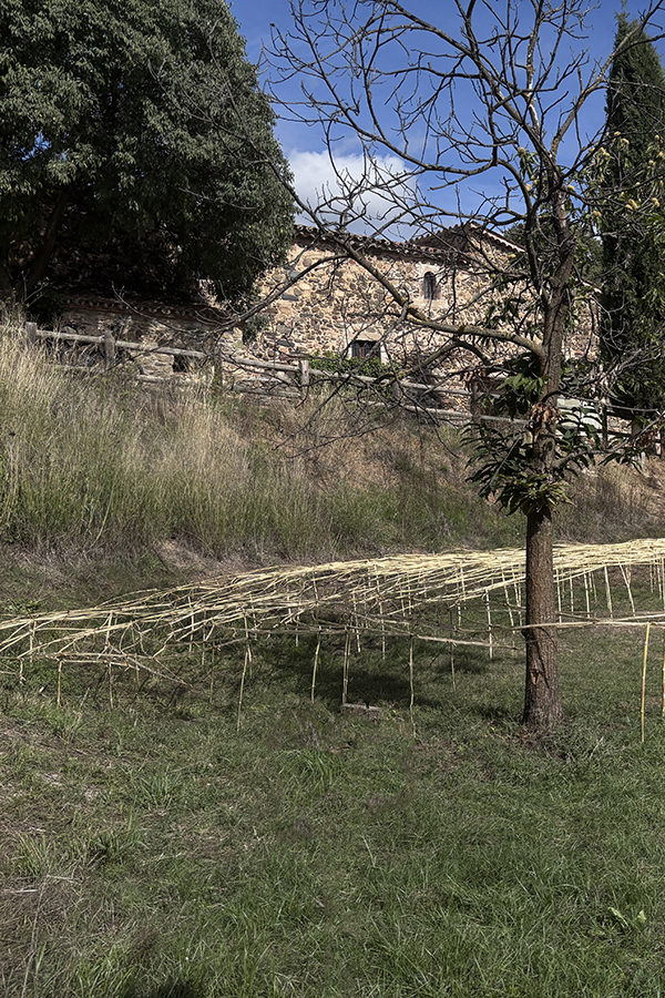 Hilarium_web_partida_26a