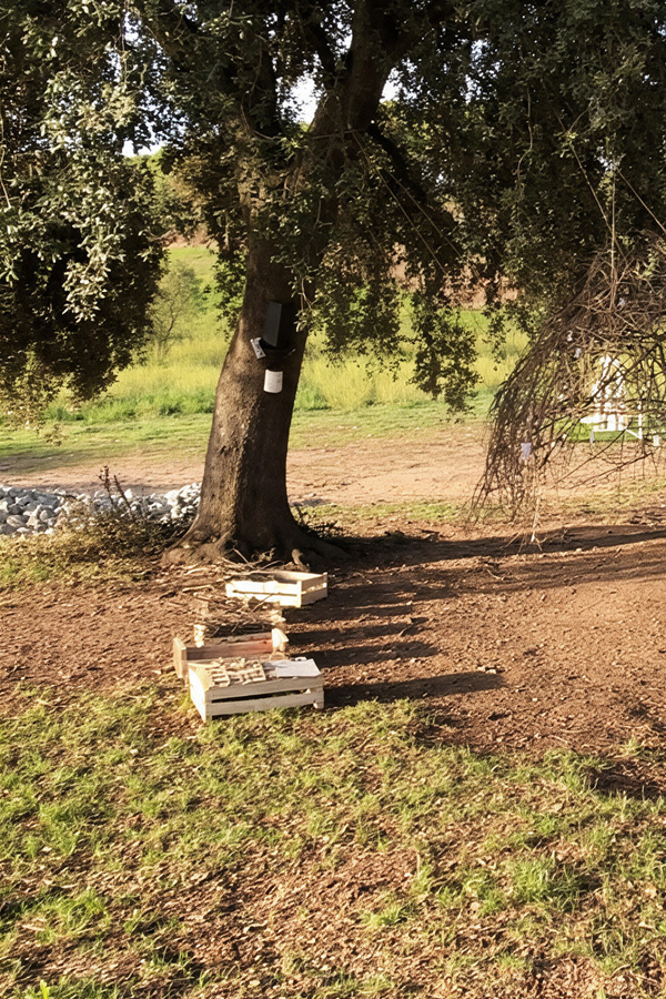 Hilarium_web_partida_30a